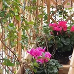 In Terrazza Da Giusy