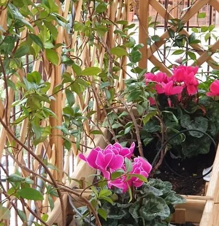 In Terrazza Da Giusy