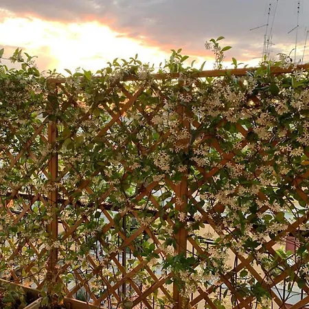 In Terrazza Da Giusy