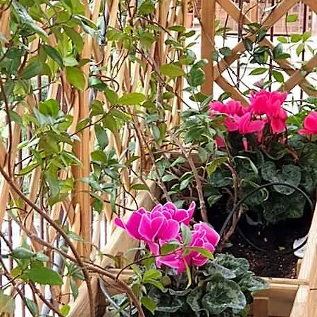 In Terrazza Da Giusy Bed & Breakfast 4*