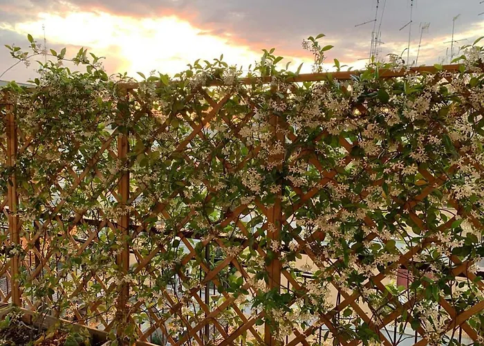 In Terrazza Da Giusy