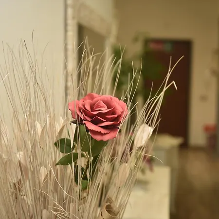 In Terrazza Da Giusy 罗马