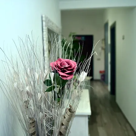 In Terrazza Da Giusy 罗马