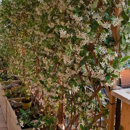 住宿加早餐酒店 In Terrazza Da Giusy 4*