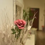 In Terrazza Da Giusy Roma